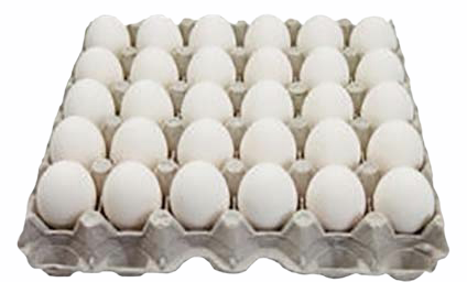 Gray ridge large eggs