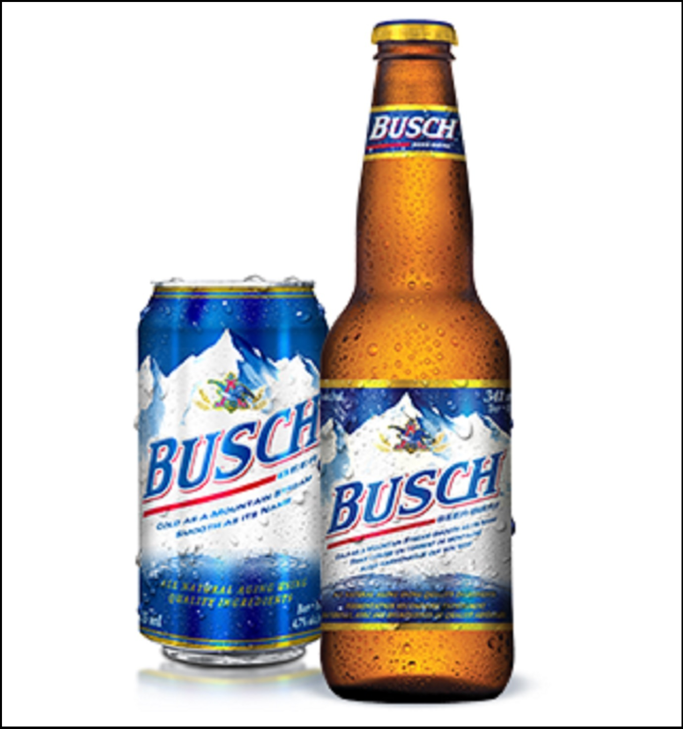 Busch lager  30 x 355 ml