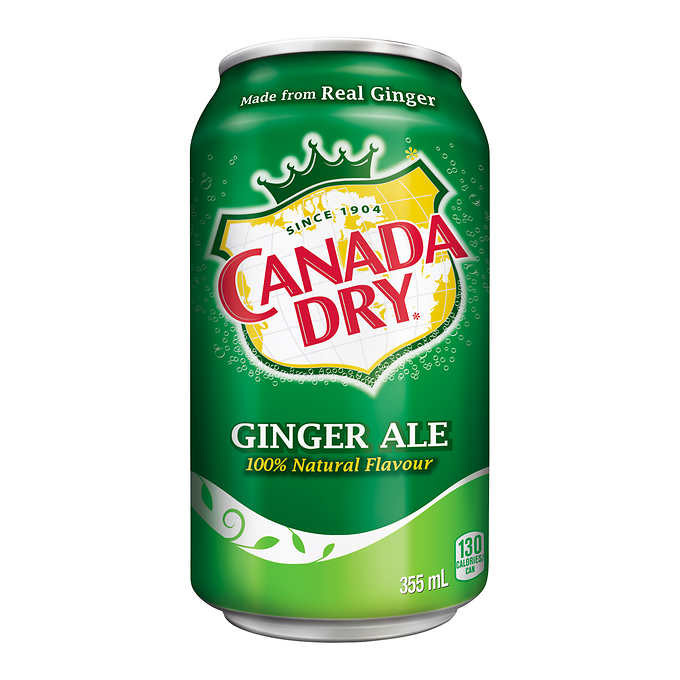 Canada dry ginger ale 24 × 355 ml