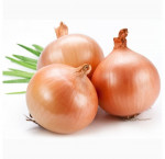 Yellow onion bag 4.5 kg