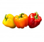 Organic mixed peppers 6 ct