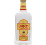 Gordon's dry gin (pet)