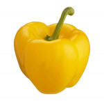 Greenhouse peppers, yellow