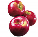 Mcintosh apples 2.72 kg