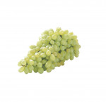 Green seedless grapes  