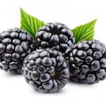 Blackberries 340 g