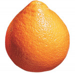 Nadorcott mandarin
