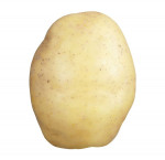 Yellow potato 10lb10.0 lb bag