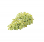 Green seedless grapes