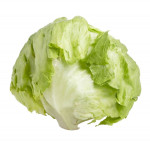 Lettuce iceberg 
