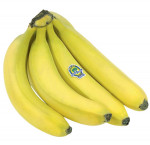 Pc organicsorganic bananas, bunch
