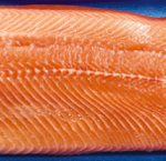 Farmed salmon raised w/out antibiotics ave.0.888 kg