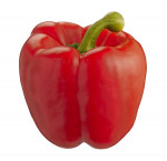 No namenaturally imperfect peppers
