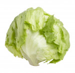 Lettuce iceberg