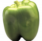 Sweet green peppers