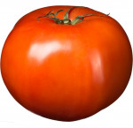 Tomato beefsteak red