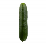 Field cucumbers 