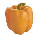Greenhouse peppers, orange